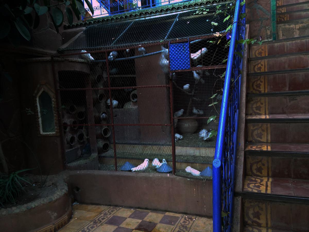Guest house Kasbah Tifirte
